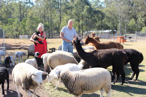 Haigslea EWE Nique Hobby Farm - Lennox Head Accommodation 0