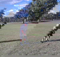 Inverell Golf Club - Lennox Head Accommodation