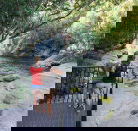 Josephine Falls walking track Wooroonooran National Park - Lennox Head Accommodation