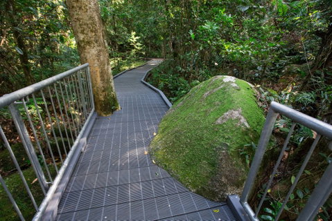 Josephine Falls Walking Track, Wooroonooran National Park - Lennox Head Accommodation 2