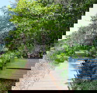 Kennedy Walking Track - Lennox Head Accommodation