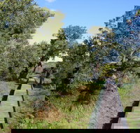 Kepwari Trails Wetland Wonderland - Lennox Head Accommodation