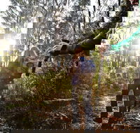 Kinglake National Park - Lennox Head Accommodation