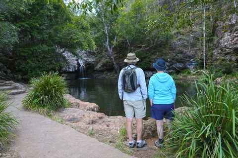 Kondalilla Falls Circuit, Kondalilla National Park - Lennox Head Accommodation 1