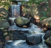 Mackay Regional Botanic Gardens - Lennox Head Accommodation