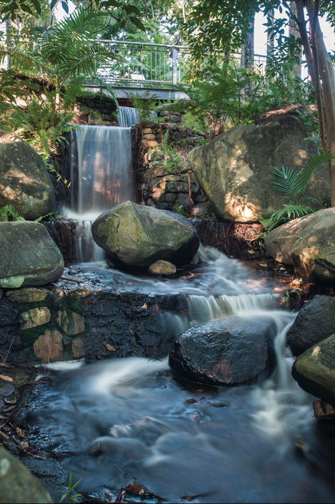 Mackay Regional Botanic Gardens - Lennox Head Accommodation 0
