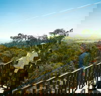 Monument Hill Reserve - Lennox Head Accommodation