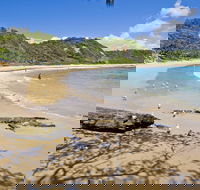 Nambucca Heads Beaches - Lennox Head Accommodation