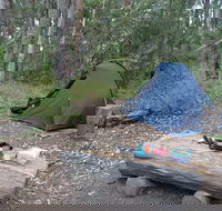 Northbrook Mountain Bush Camp - Lennox Head Accommodation