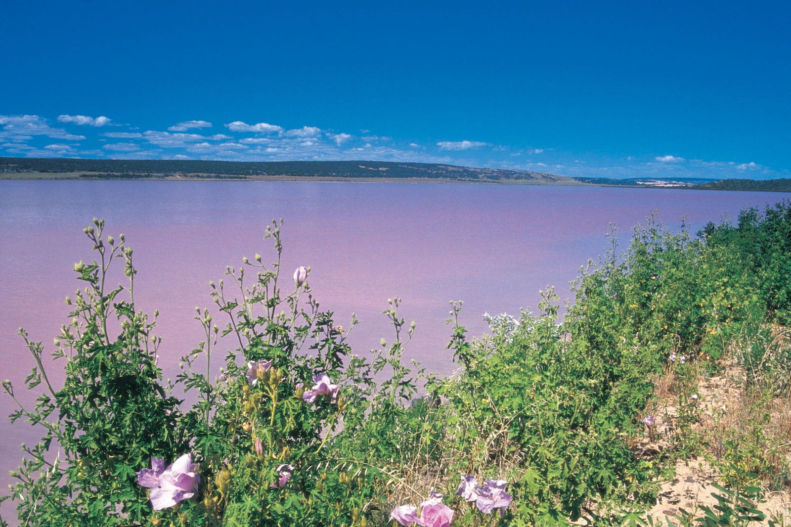 Gregory WA Lennox Head Accommodation