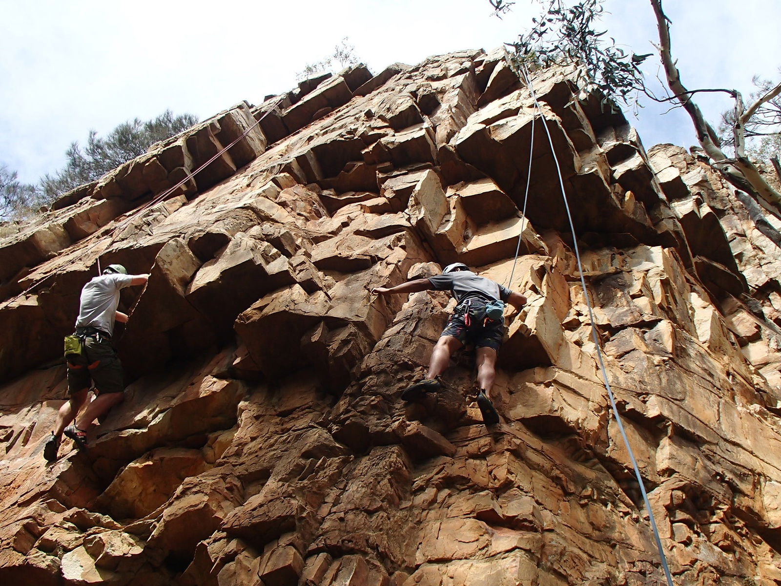 Woodforde SA Lennox Head Accommodation