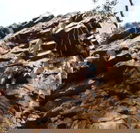 Rock Climbing in Morialta - Lennox Head Accommodation