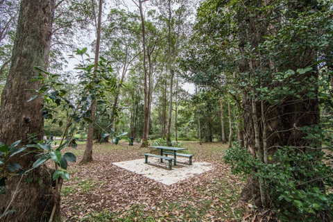 Rocksberg Park Heritage Reserve - Lennox Head Accommodation 1
