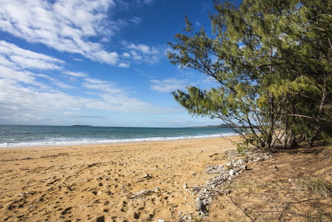 Salonika Beach - Lennox Head Accommodation 0
