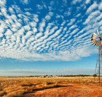 Sturt National Park - Lennox Head Accommodation