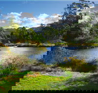 Tasmanian Arboretum Inc. - The - Lennox Head Accommodation