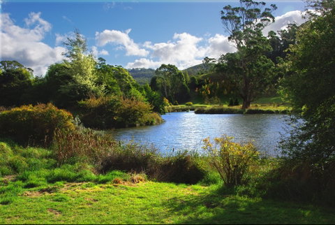 Tasmanian Arboretum Inc. - The - Lennox Head Accommodation 0