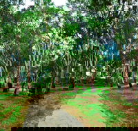 Adungadoo Pathway - Lennox Head Accommodation