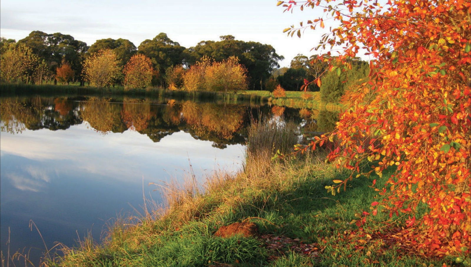 Alpine NSW Lennox Head Accommodation