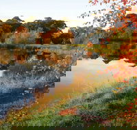 Alpine - Lennox Head Accommodation