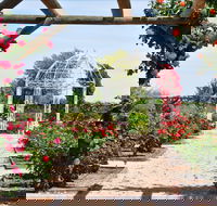 Australian Inland Botanic Gardens - Lennox Head Accommodation