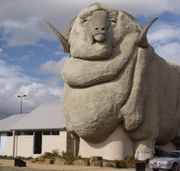 Big Merino - Lennox Head Accommodation