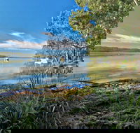 Black Oaks Picnic Area - Lennox Head Accommodation