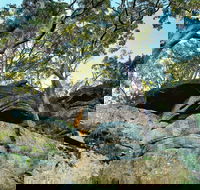 Burrawang Reach Picnic Area - Lennox Head Accommodation