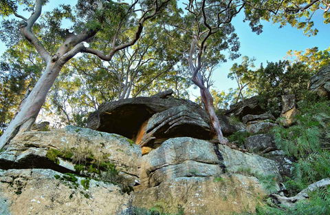 Burrawang Reach Picnic Area - Lennox Head Accommodation 0