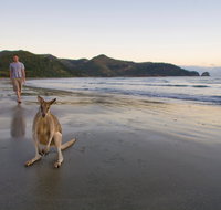 Cape Hillsborough National Park - Lennox Head Accommodation