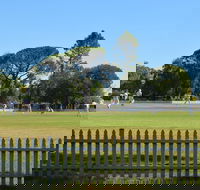 Cootamundra Cricketing Exploration - Lennox Head Accommodation