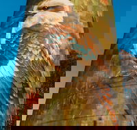 Deniliquin Water Tower Mural - Lennox Head Accommodation