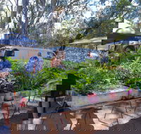 Fernvale Country Markets - Lennox Head Accommodation