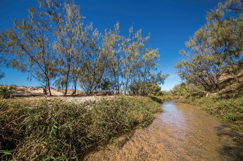 Freshwater Creek Track, Byfield National Park - Lennox Head Accommodation 0