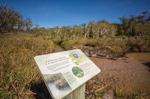 Freshwater Creek Track, Byfield National Park - Lennox Head Accommodation 1