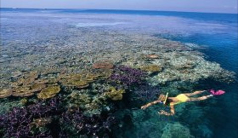 Hardy Reef - Lennox Head Accommodation 1