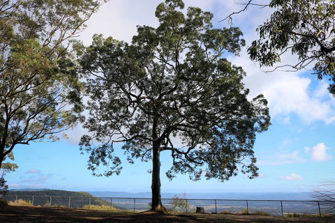 Heaton State Forest - Watagan Mountains - Lennox Head Accommodation 2