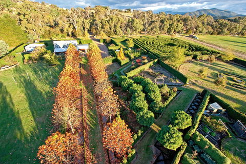 High Country Maze - Lennox Head Accommodation 1