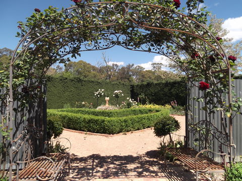 High Country Maze - Lennox Head Accommodation 2