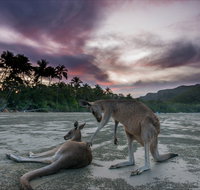 How to Holiday on The Hibiscus Coast with your Family - Lennox Head Accommodation