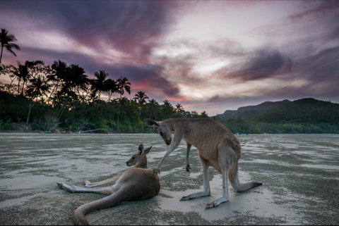 How To Holiday On The Hibiscus Coast With Your Family - Lennox Head Accommodation 0