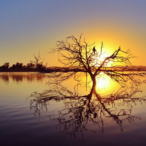 Lake Dyer - Lennox Head Accommodation 0