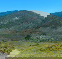 Monument Hill Walking Track - Lennox Head Accommodation