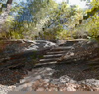 Mooney Mooney nature walk - Lennox Head Accommodation