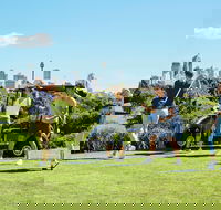Moore Park Golf Course - Lennox Head Accommodation