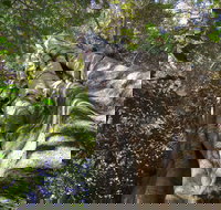 Moore Park Nature Reserve - Lennox Head Accommodation