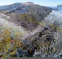 Mt Buller Bike Park - Lennox Head Accommodation