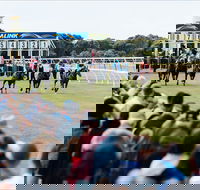 Oakbank - Lennox Head Accommodation