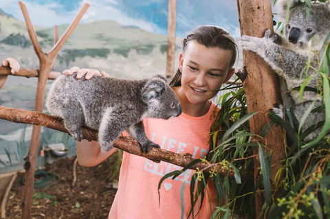 Oakvale Wildlife Park - Lennox Head Accommodation 0
