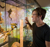 Queensland Museum - Lennox Head Accommodation